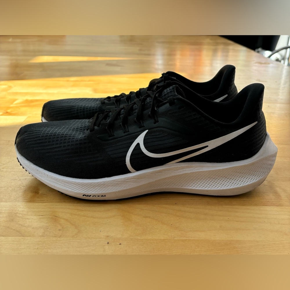 Nike Pegasus 39 Size 10